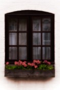 English Window with Flowers - U.K. Print sizes: 8x10 11x14 12x18 16x20 16x24 Canvas sizes: 12x18 16x24