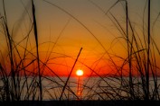 Sunset with Beach Grass - Lovers Key, Florida Print sizes: 8x10 11x14 12x18 16x20 16x24 Canvas sizes: 12x18 16x24 20x30