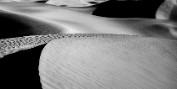 Mesquite Flat Dunes #2 - Death Valley N.P., California Canvas only: 16x36 20x45