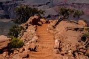 "Path to Nowhere" - Grand Canyon N.P., Arizona Print sizes: 8x10 11x14 12x18 16x20 16x24 Canvas sizes: 12x18 16x24 20x30